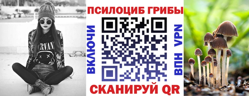 Псилоцибиновые грибы MAGIC MUSHROOMS  Купить закладки  Почеп 