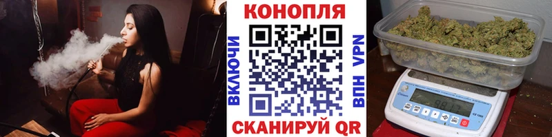 Купить где  Почеп  Каннабис гибрид 